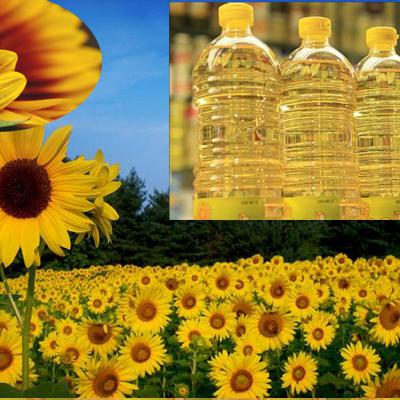 Exporters Of Sunflower Oil | Buy Sunflower Oil online | Buy Virgin Olive Oil online img3