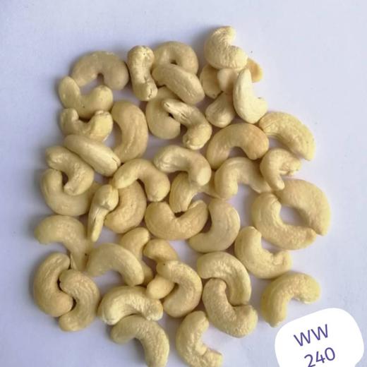 cashew kernel ww240