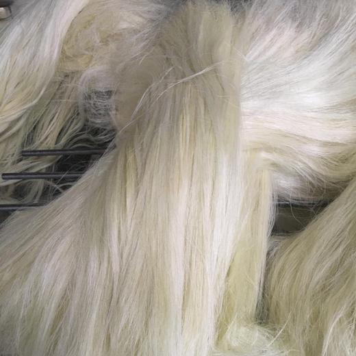 SSUG Sisal Fiber UG Grade 1 from Tanzania img3