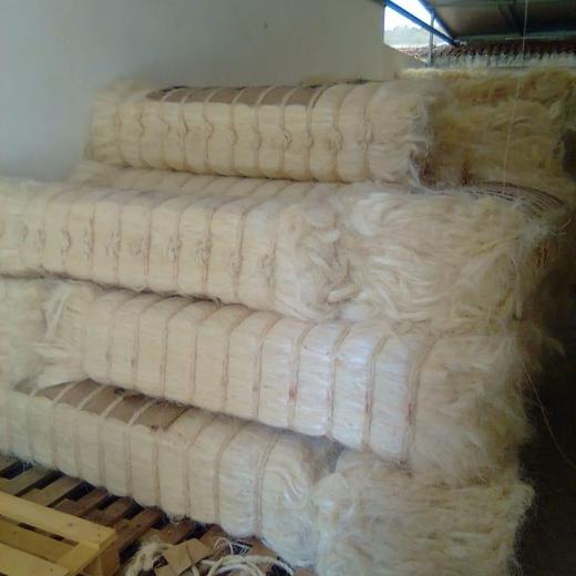 SSUG Sisal Fiber UG Grade 1 from Tanzania img0