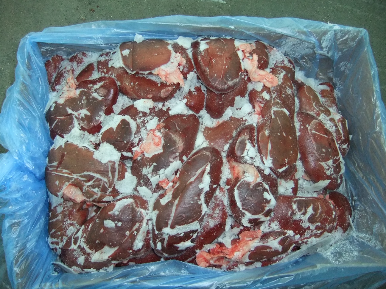 FROZEN PORK KIDNEYS 