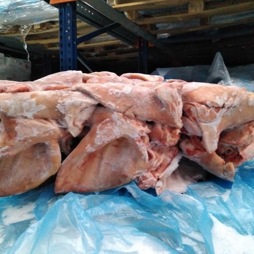 Buy wholesale frozen pork ears from Black And White Global LTD img6