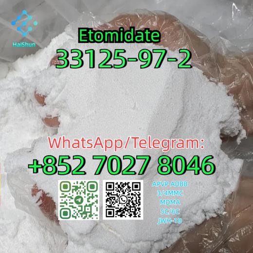CAS:33125-97-2  Etomidate img2