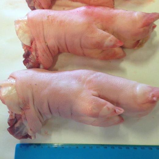 Frozen Pork Front Feet, short cut img1