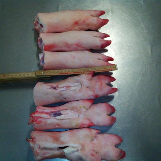 Frozen Pork Hind Feet, short cut img2