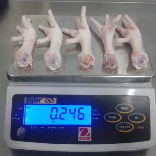 RSA Approved Frozen processed chicken feet A grade