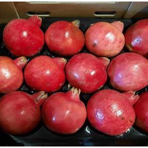 Granada  Pomegranate img0
