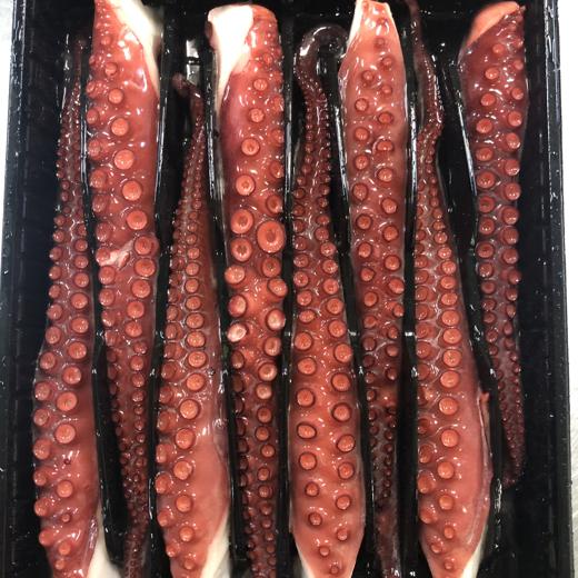 Pulpo octopus vulgaris, Coccido patas.