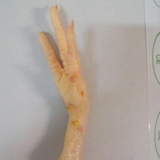 Fozen yellow processed chicken feet A grade img2