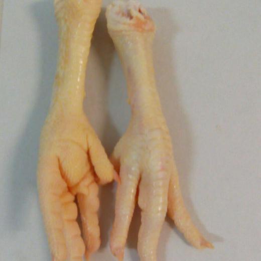 Fozen yellow processed chicken feet A grade img1
