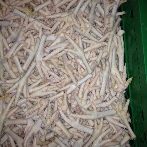 Frozen white processed chicken feet A grade RSA APPROVED img1