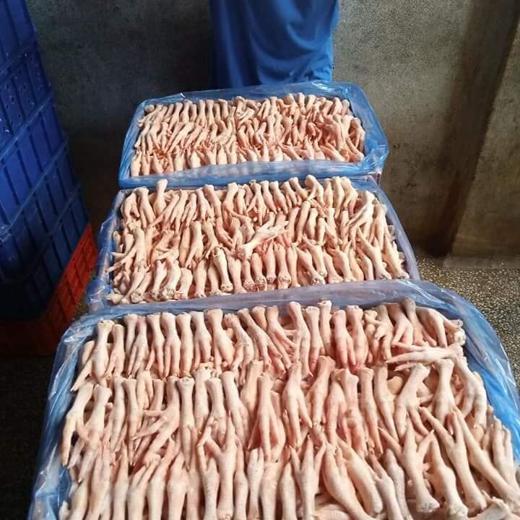 Wholesale Suppliers Premium Quality Halal Frozen Whole Chicken And Chicken feet /paws With Comp img1
