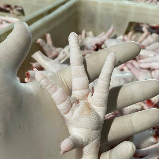 Wholesale Suppliers Premium Quality Halal Frozen Whole Chicken And Chicken feet /paws With Comp img2
