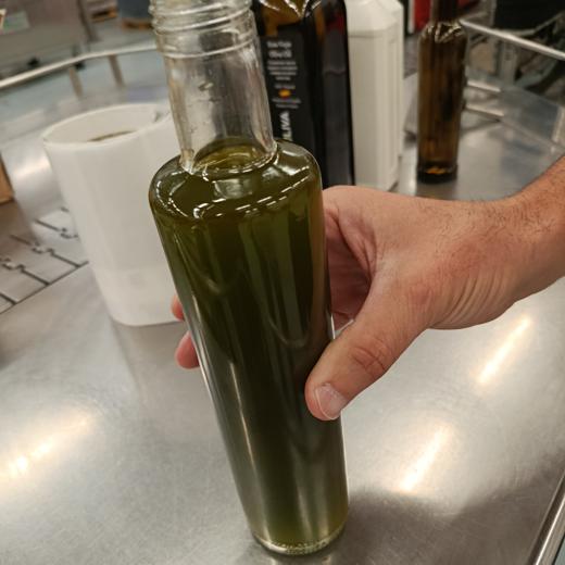 Extra Virgin Olive Oil from Spain, best prices