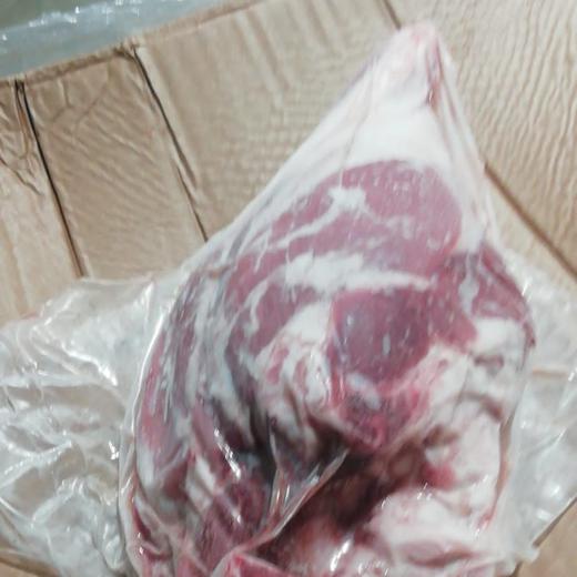 Fresh Lamb Carcasses img0