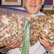 Order Magic Mushrooms in Edmonton | Threema: PDUUS34Y