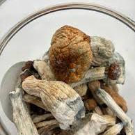 Buy Magic Mushrooms Online In Canada - Order Psilocybin Magic Mushrooms