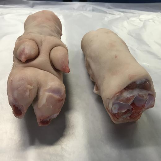 FROZEN PORK HIND FEET CARTON img1