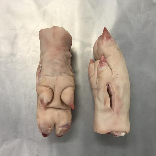 FROZEN PORK HIND FEET CARTON img2