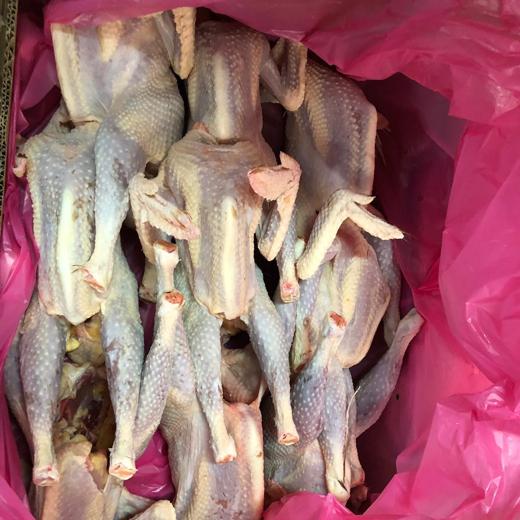 Fresh whole hens 1kg approx per hen.HALAL in cartons img1