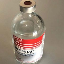 potassium cyanide,nembutal, pentobarbital(pills and powder, liquid )for sale img3