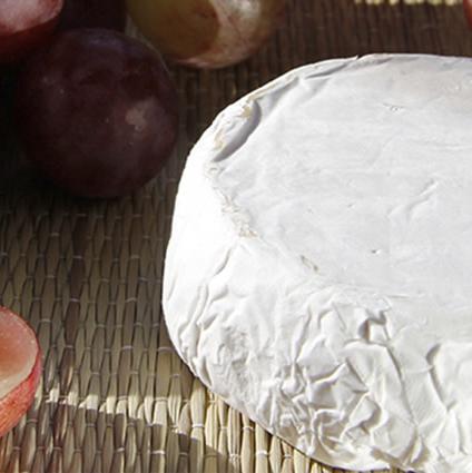 Queso Camembert img2