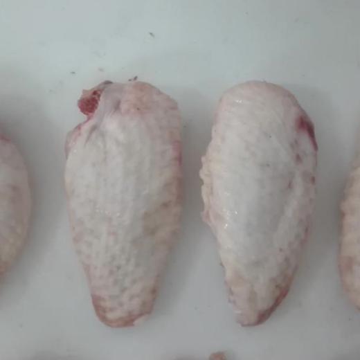 Alones de pollo blanco / frozen white mid chicken wings img1