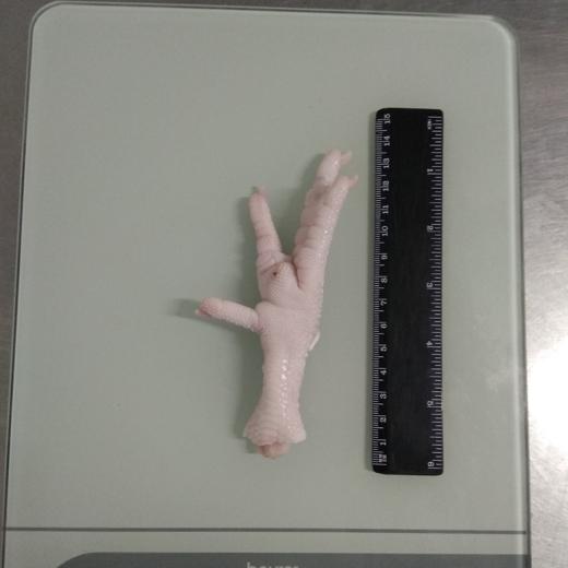 Frozen chicken paws A grade processed in 10kg cartons 30gr+ img4
