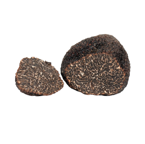 Trufa negra fresca, (Tuber melanosporum)
