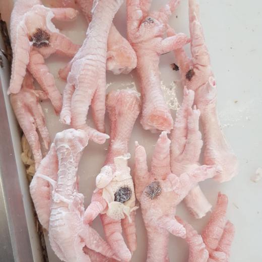 Frozen chicken feet B grade white processed img1