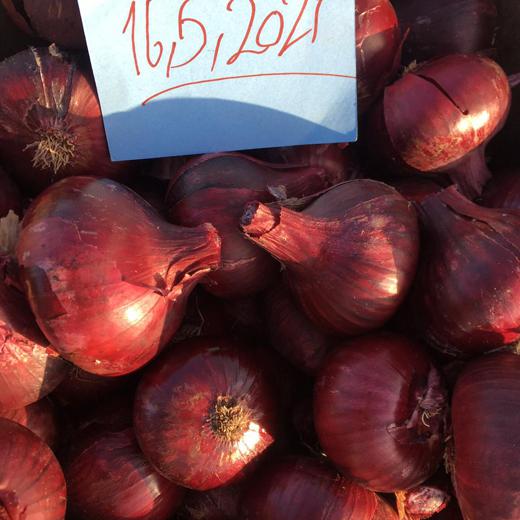 fresh onions ( RED , YELLOW ) img1
