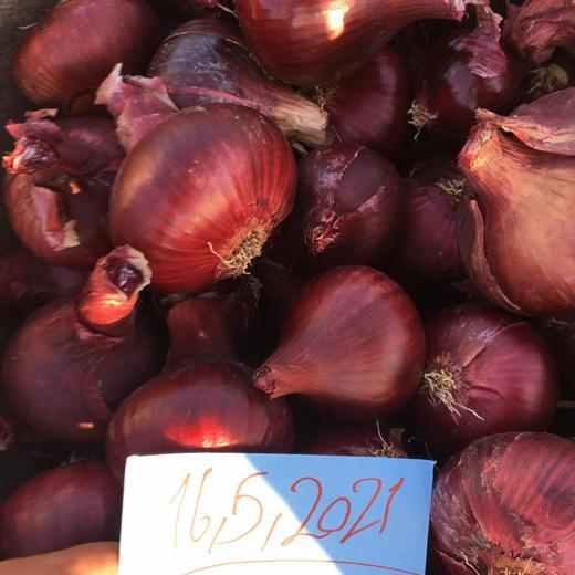 fresh onions ( RED , YELLOW ) img2