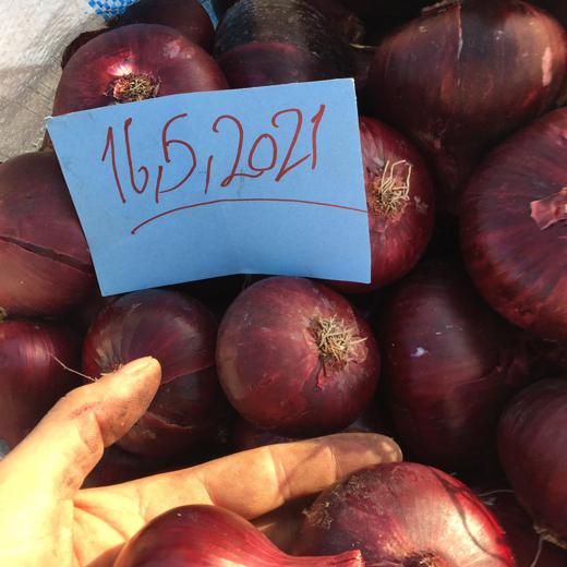 fresh onions ( RED , YELLOW )