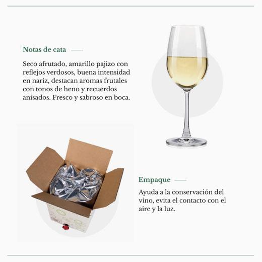 IGP Vinos de la tierra de Castilla verdejo Paz VI bag in box  5 litros img2