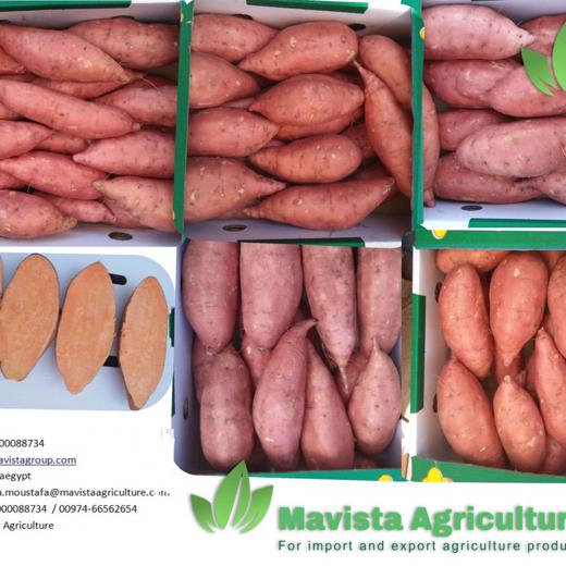 Sweet potatoes img6