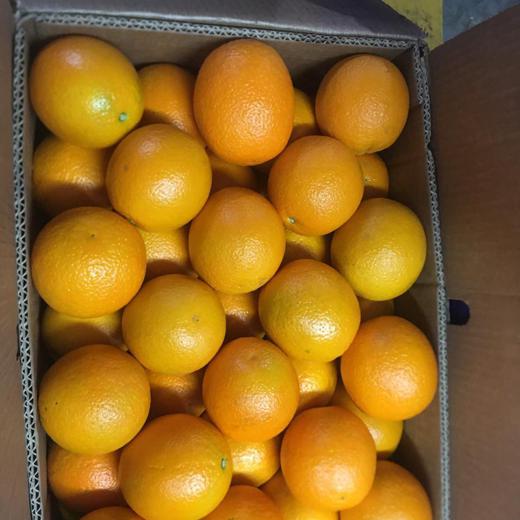 Fresh Oranges img4