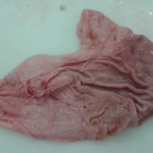 Frozen Pork Stomach pouch cut img0