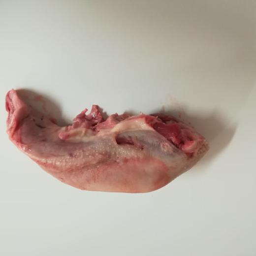 Frozen Pork Tongue Swiss cut
