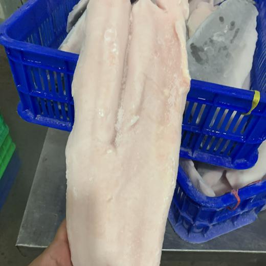 Frozen Giant Snakehead fillet img2