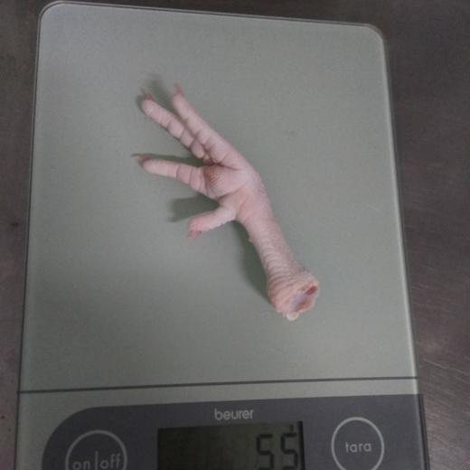 78t Frozen chicken feet A grade processed in 10kg cartons, img1