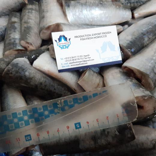 sardine HGT with scalls frozen in blocks