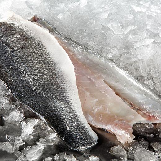 Sea Bass/Fresh/Fillet/Skin on:250-375g(1000gr-1500gr)