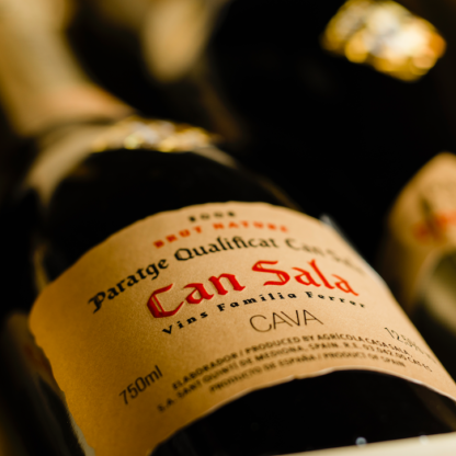 CAN SALA   2008   (Designated Vineyard) BEST SPARKLING WINE OF THE WORLD*