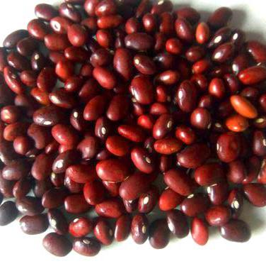 Red Kidney Beans (Rajma small)