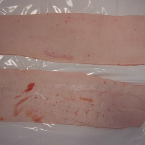 FROZEN PORK BACKFAT