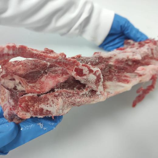 IBERICO PORK FROZEN BACKBONE - ASK FOR UPDATE PRICE img1