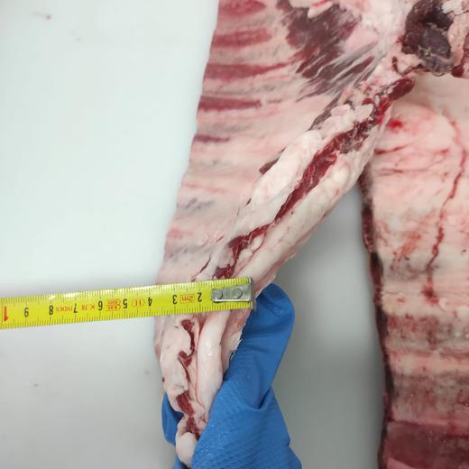 IBERICO PORK FROZEN RIBS - ASK FOR UPDATE PRICE img2