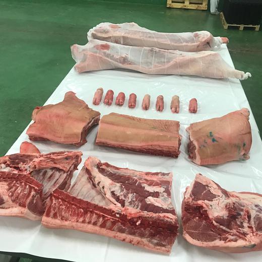 Frozen pork 6 cuts ¡¡¡¡¡PRC approved!!!!! //////Cerdo 6 Cortes img4