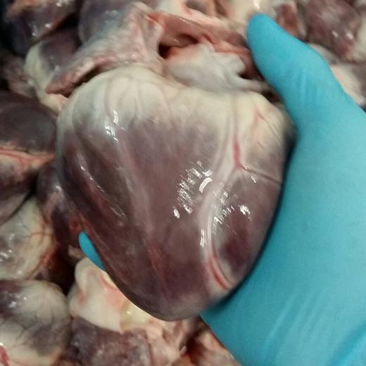 Frozen pork hearts 10kg cartons img1