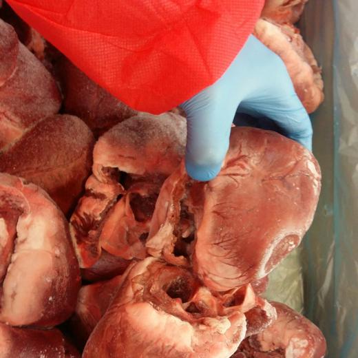 Frozen pork hearts 10kg cartons img0